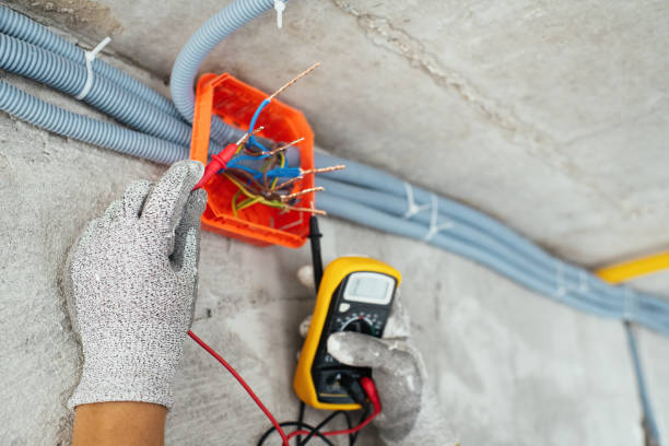 Best Electric Panel Repair  in West Branch, IA